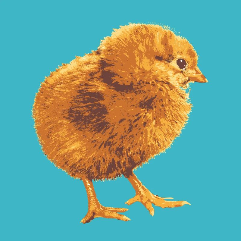 Des poussins en doux doré
