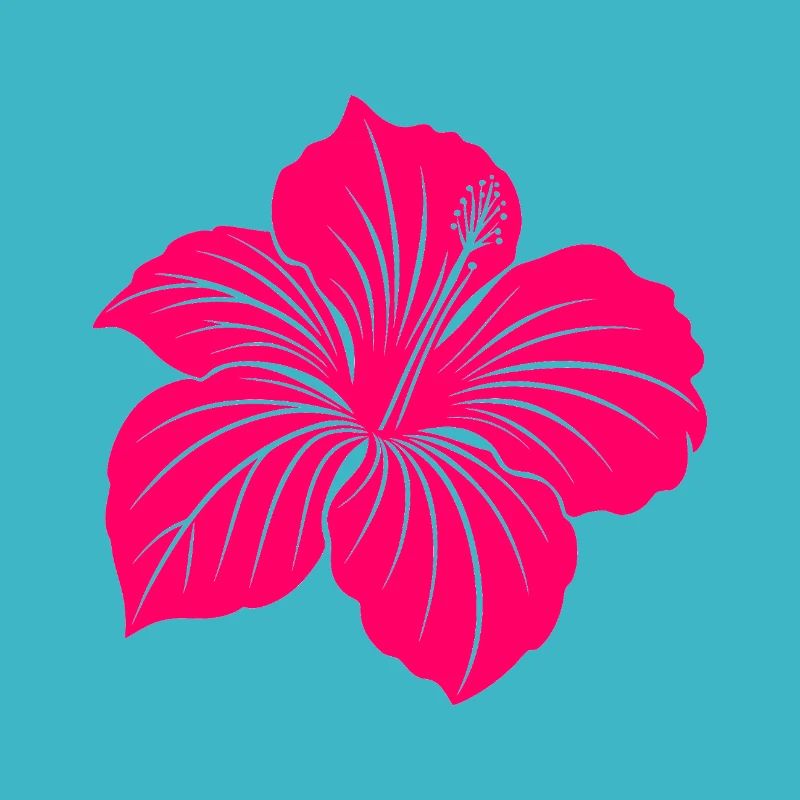 Fleur d’hibiscus