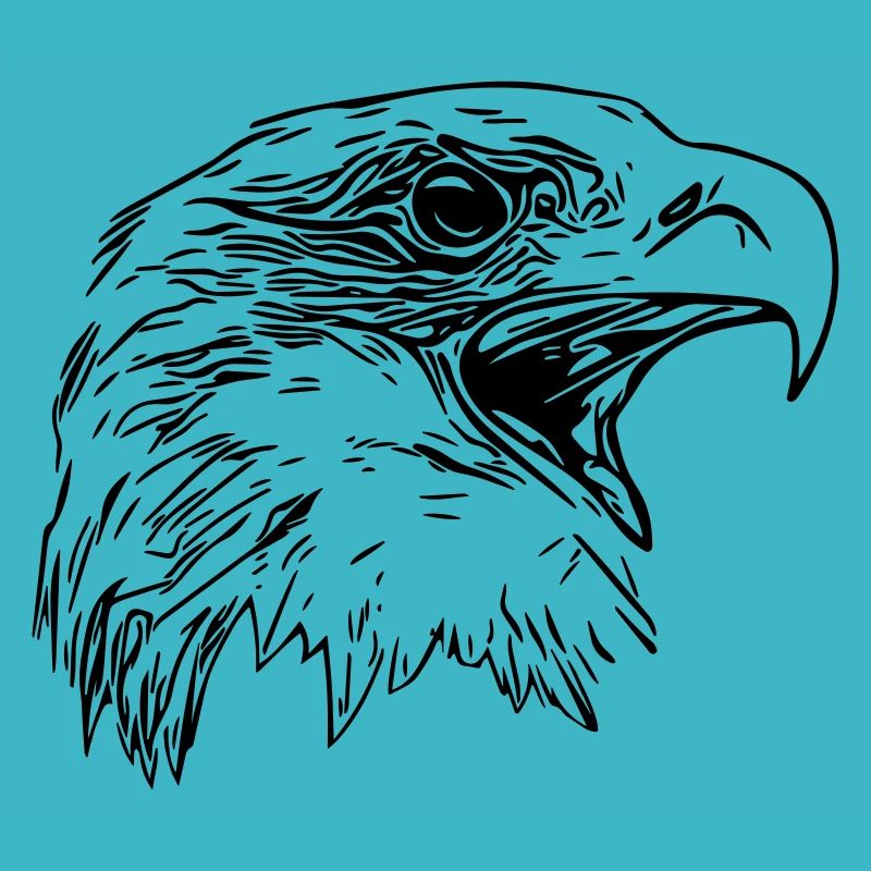 Tête d’aigle - Oiseau de prédant Royal Vector