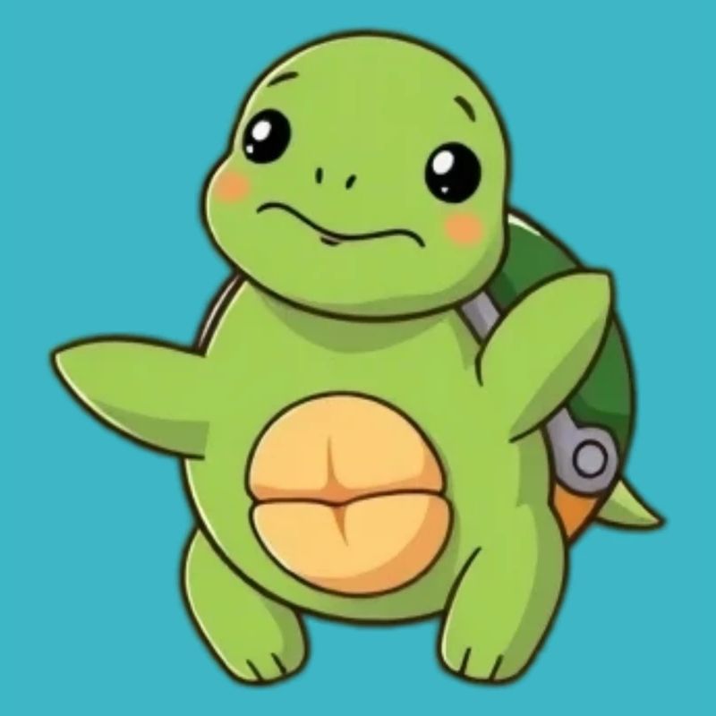 Tortue Tortues