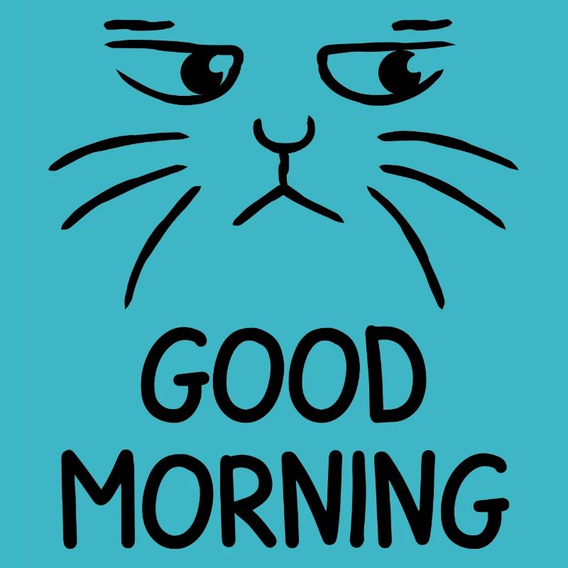 Bonjour chat chat