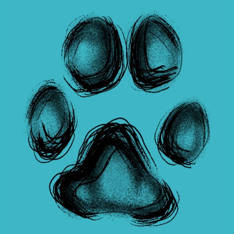 Paw Print Sketch