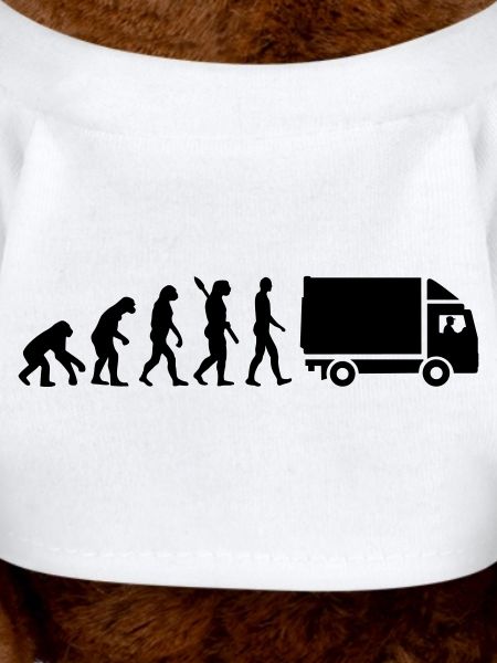 Evolution Camion