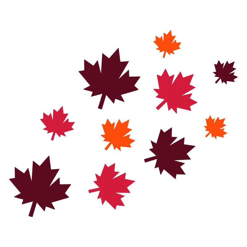 Feuilles d’érable