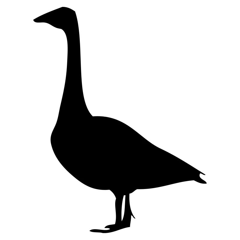 Gans