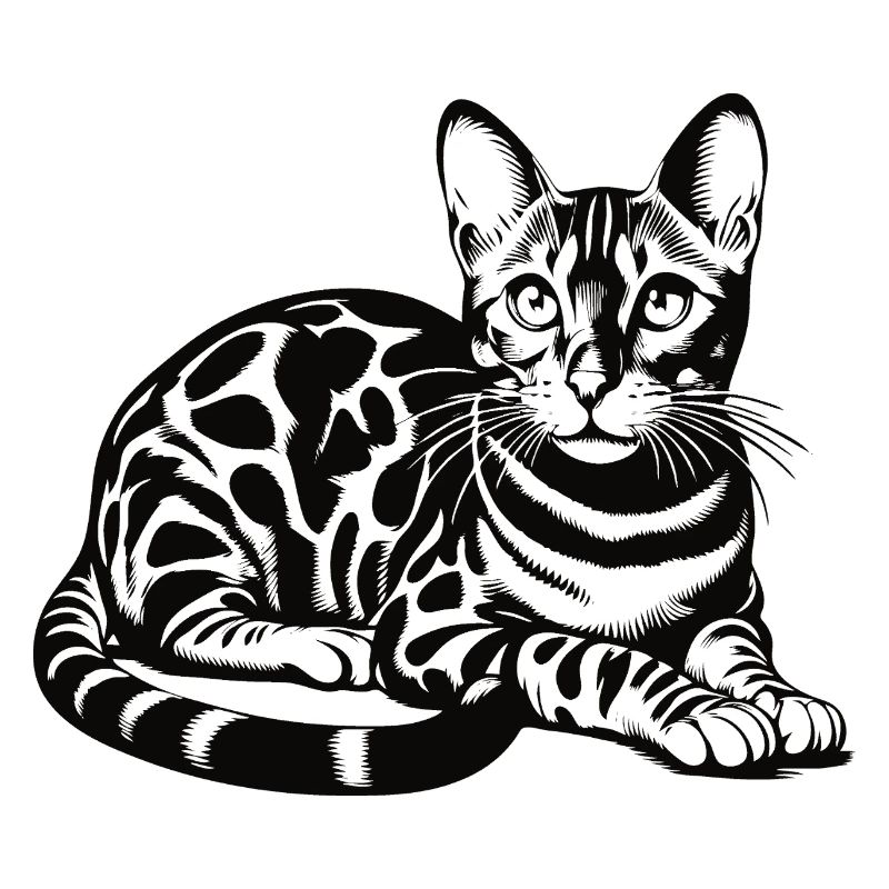 Conception de chat Bengal - sauvage, belle et unique