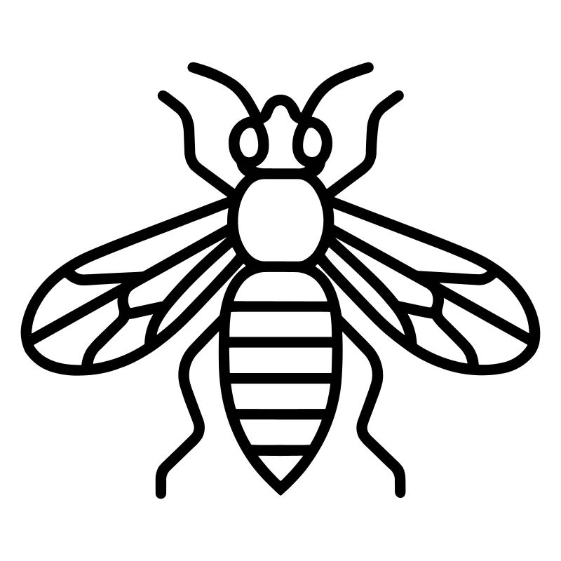 wasp
