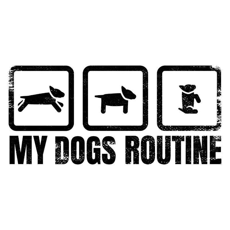 Routine canine