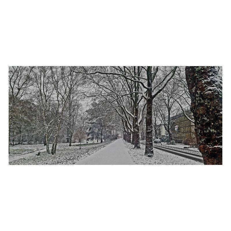 Winterallee im Schneefall