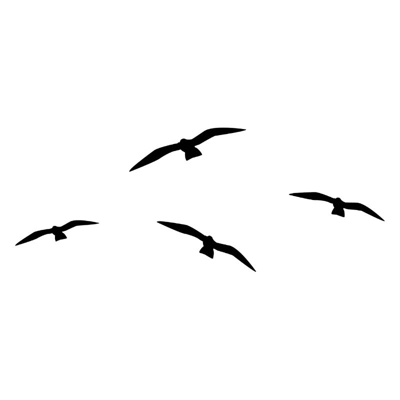Fliegende Möwe