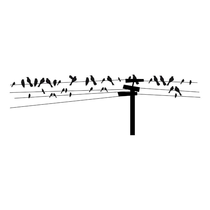 Vögel sitzen gemeinsam auf einer Stromleitung