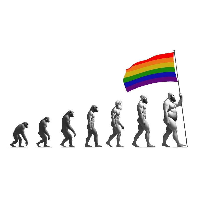 LGBTQIA + Pride Evolution