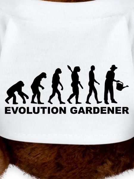 Evolution Gardener