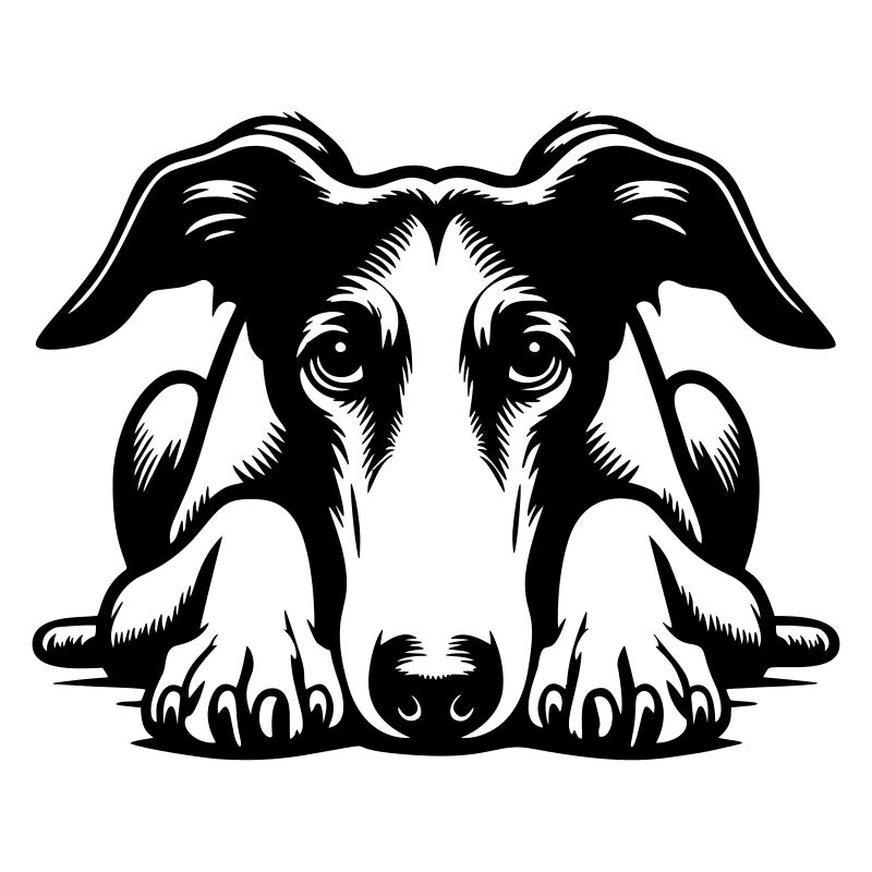 Galgo Head with Paws