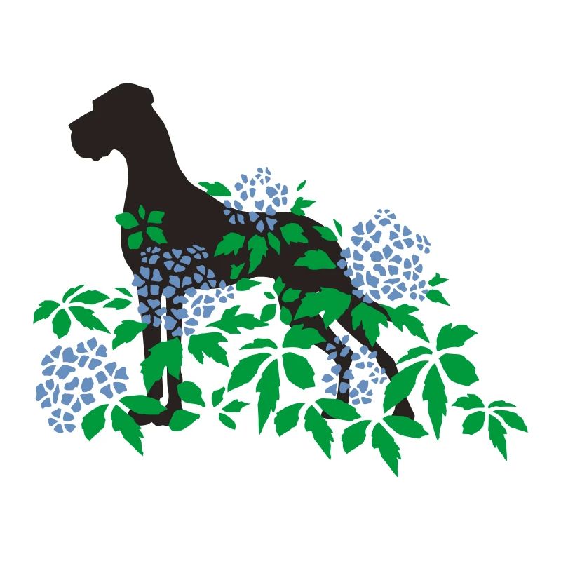 Great Dane and hydrangeas