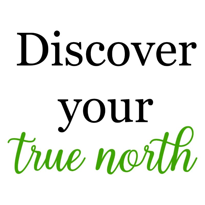 Discover Your True North Purpose Finding Journey	
