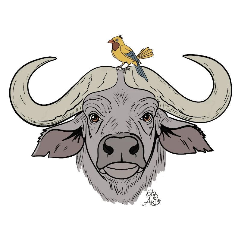 Stämmiger Büffel mit Singvogel