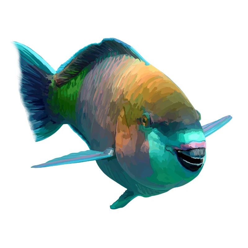 Colorful Fish Pop Art