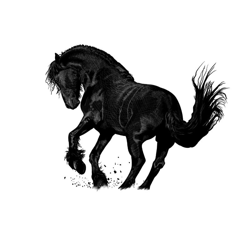 cheval