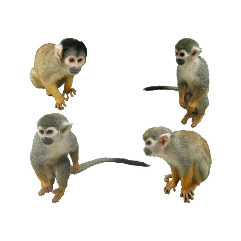 Monkeys