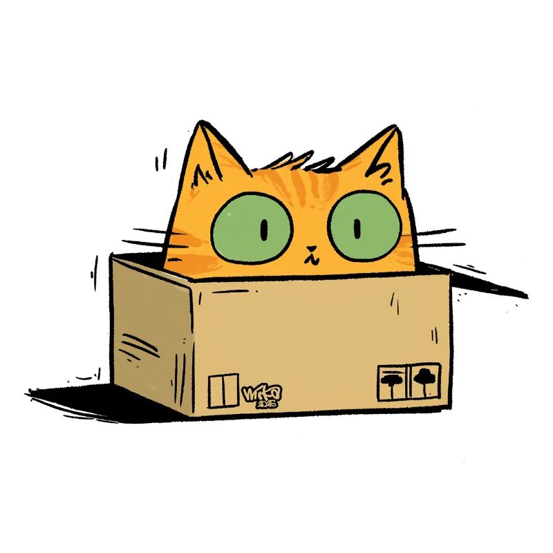 Mr Schroedinger