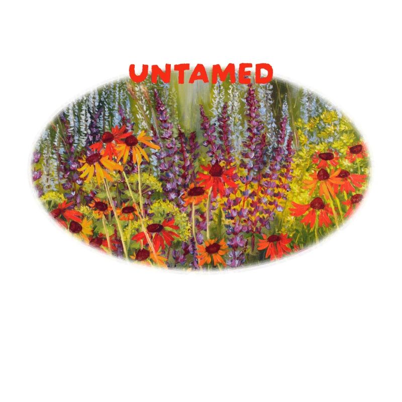 Ungezähmte – Lebendige Echinacea-Wildblumenwiese