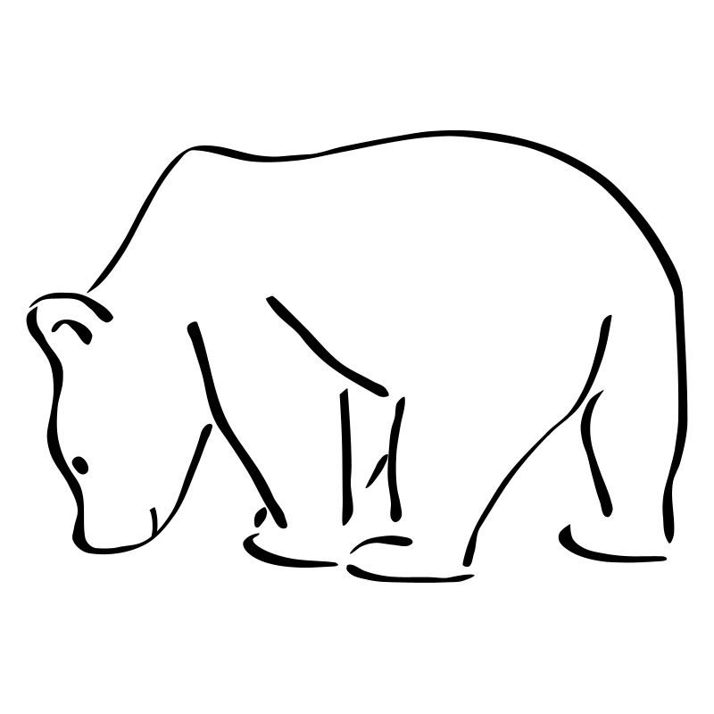 Bären Skizze Zeichnung Scribble