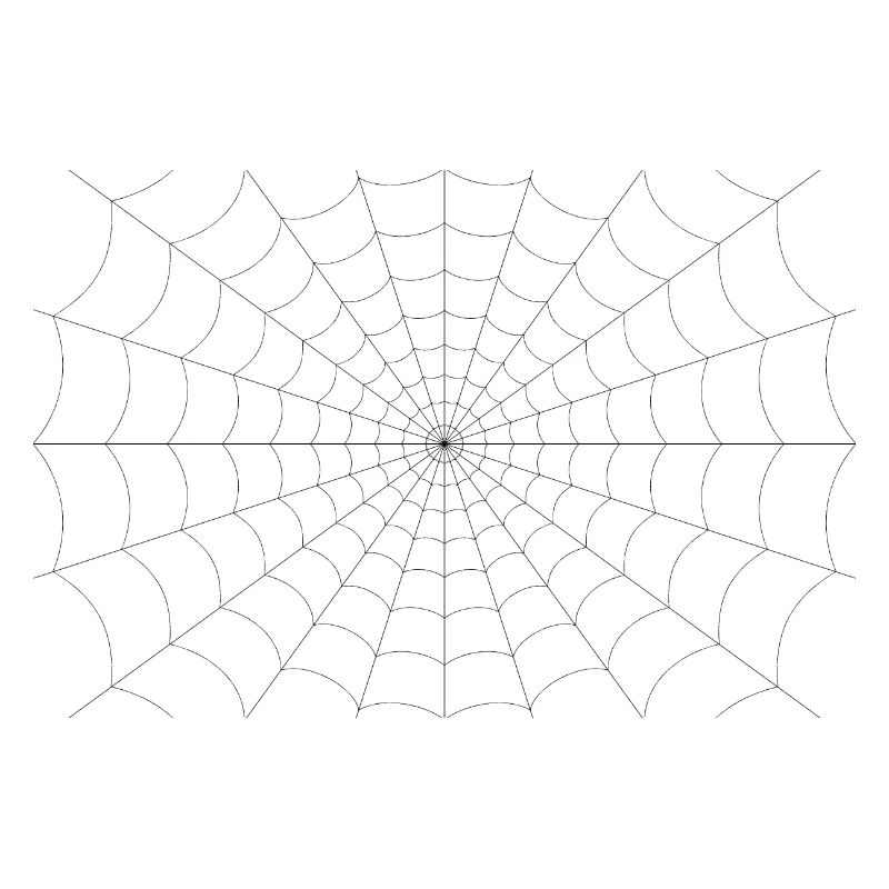 spinnenweb