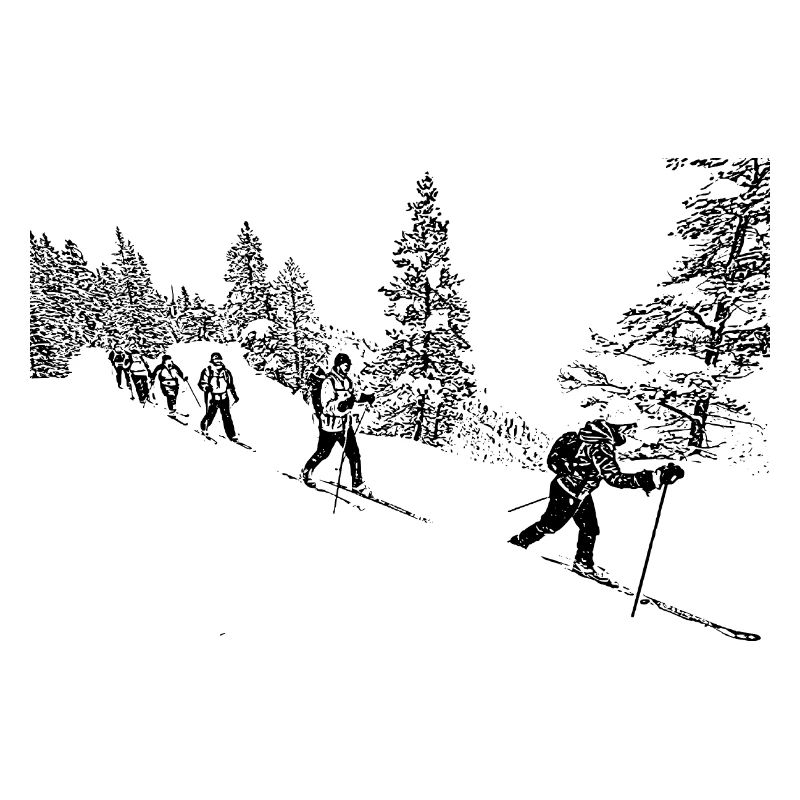 SKI