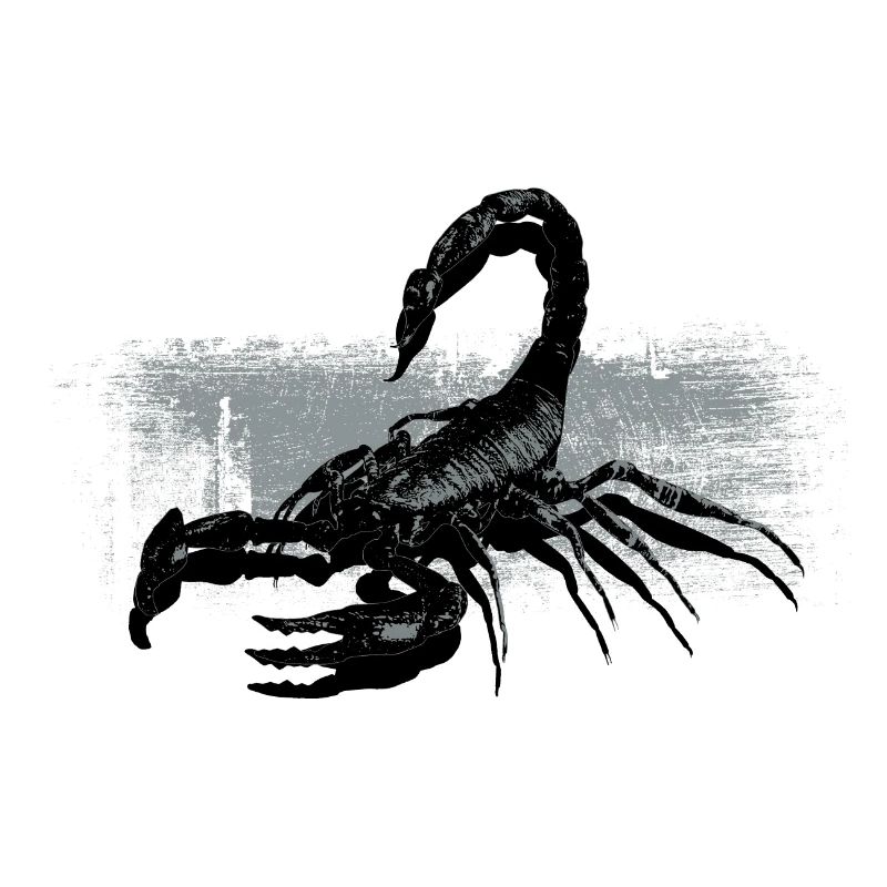 Scorpio Black White Contrast Design