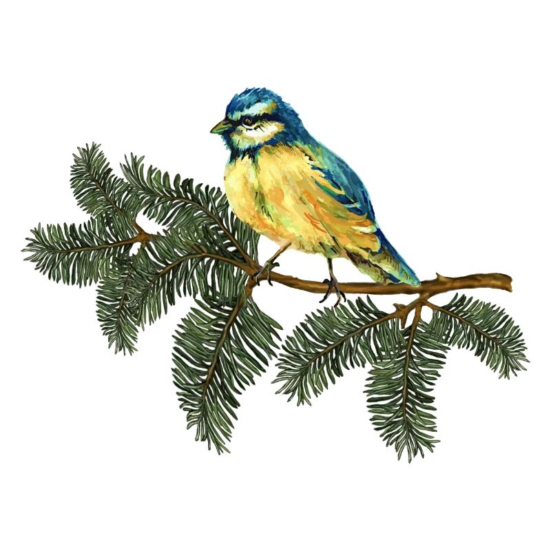 Bunter Vogel