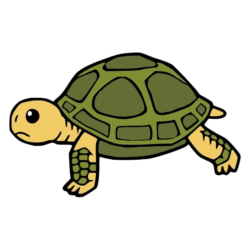 Turtle Turtles
