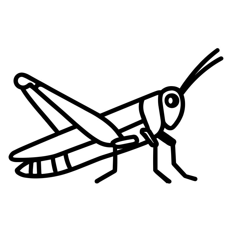sauterelle