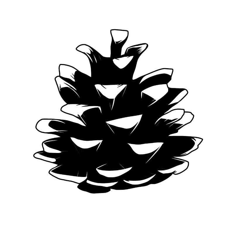 Pine pine cones Pine cones Forest Natural tree