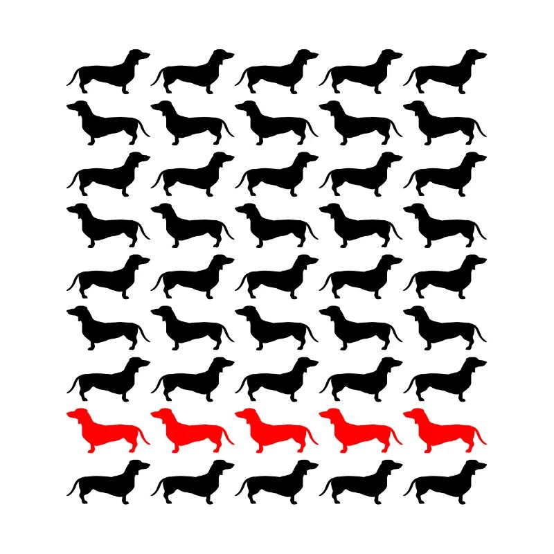 Dackel Dachshund Teckel