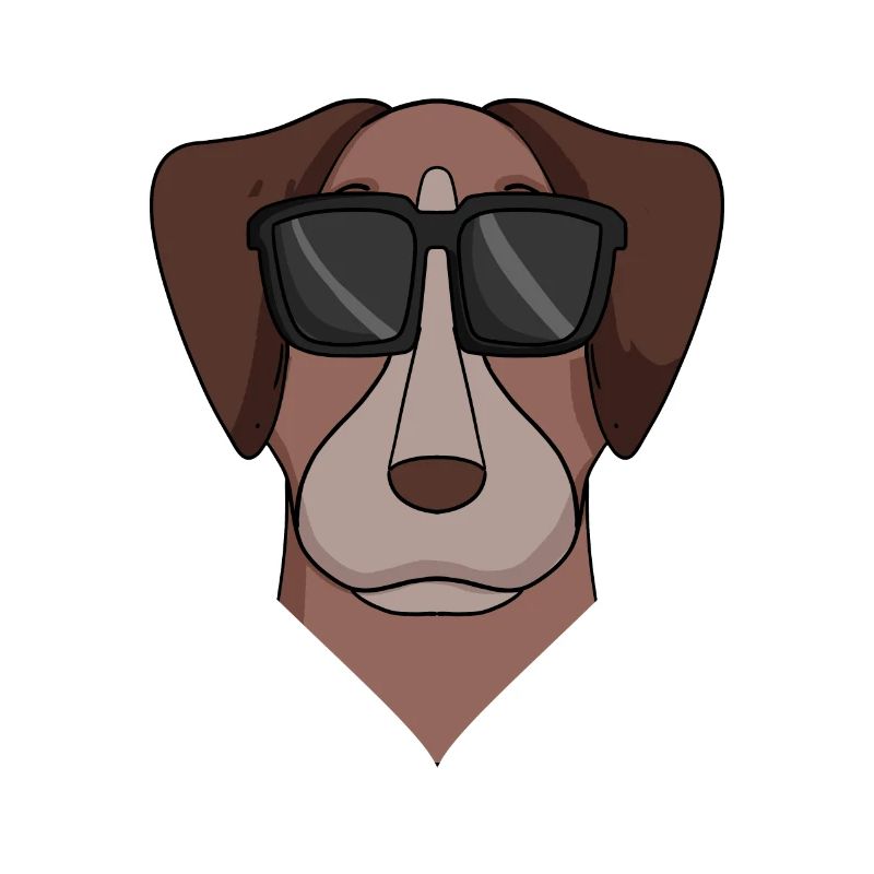 Pointer Hund Hunderasse