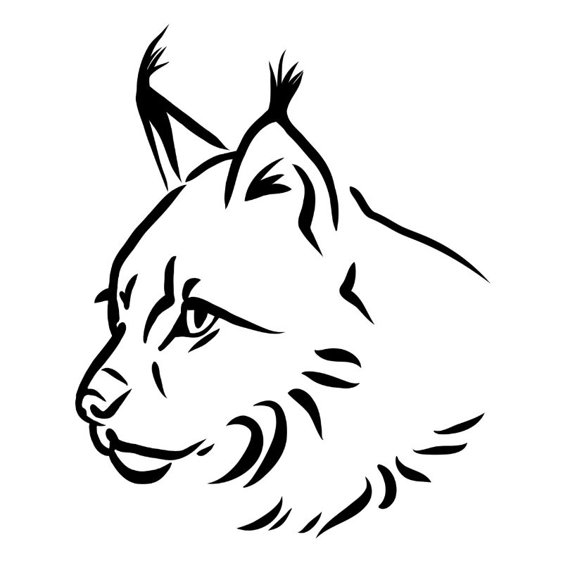 Luchs
