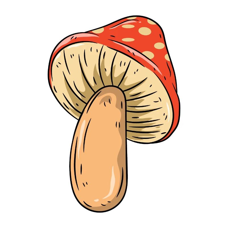 Mushroom