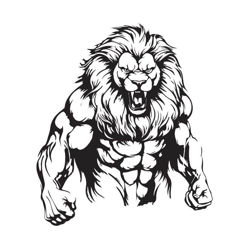 Leo Muscles Musculation