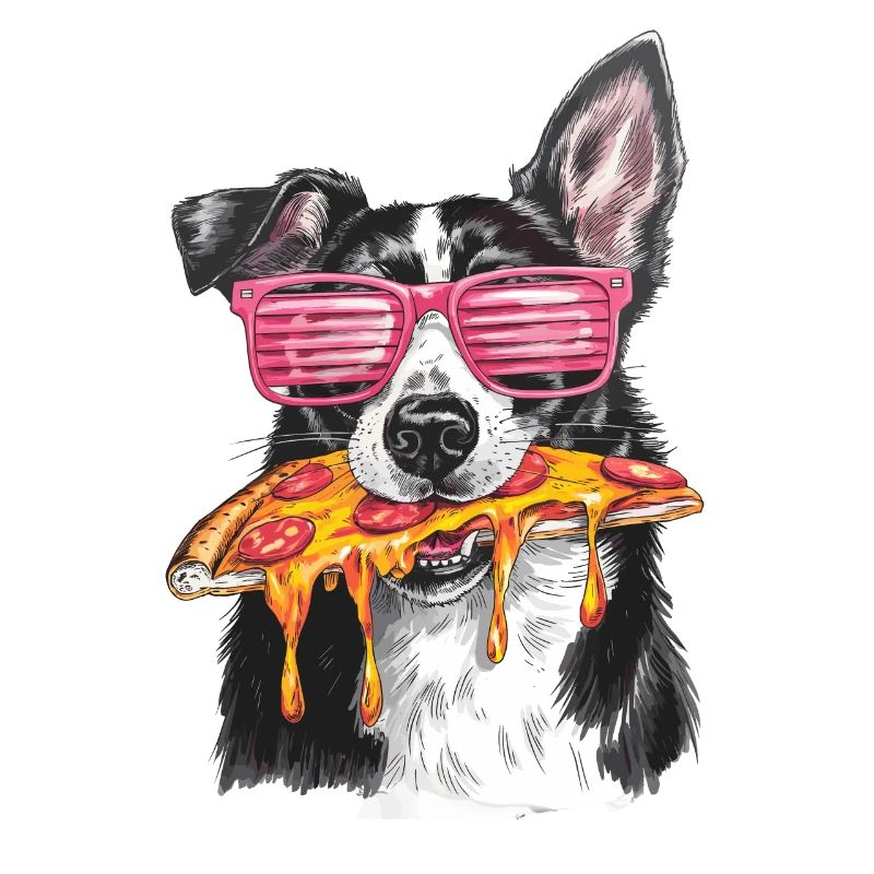 Cooler Border Collie Pizza