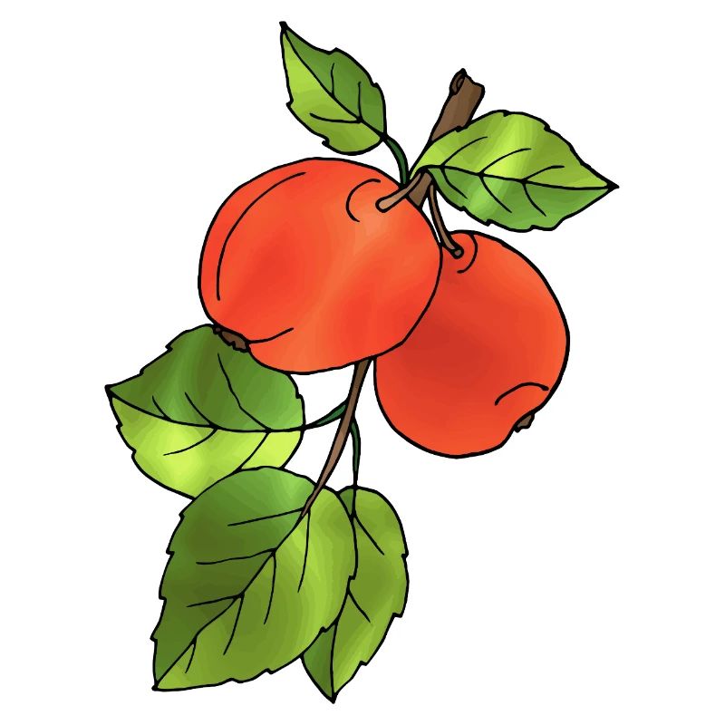 Äpfel