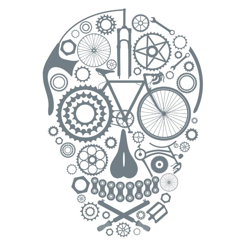 Bicycle Skull grey
