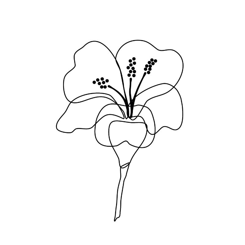 Art au trait d’hibiscus