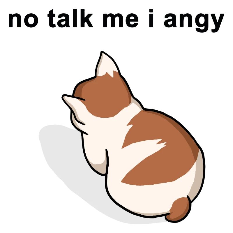 pas de parler moi je mème chat en colère