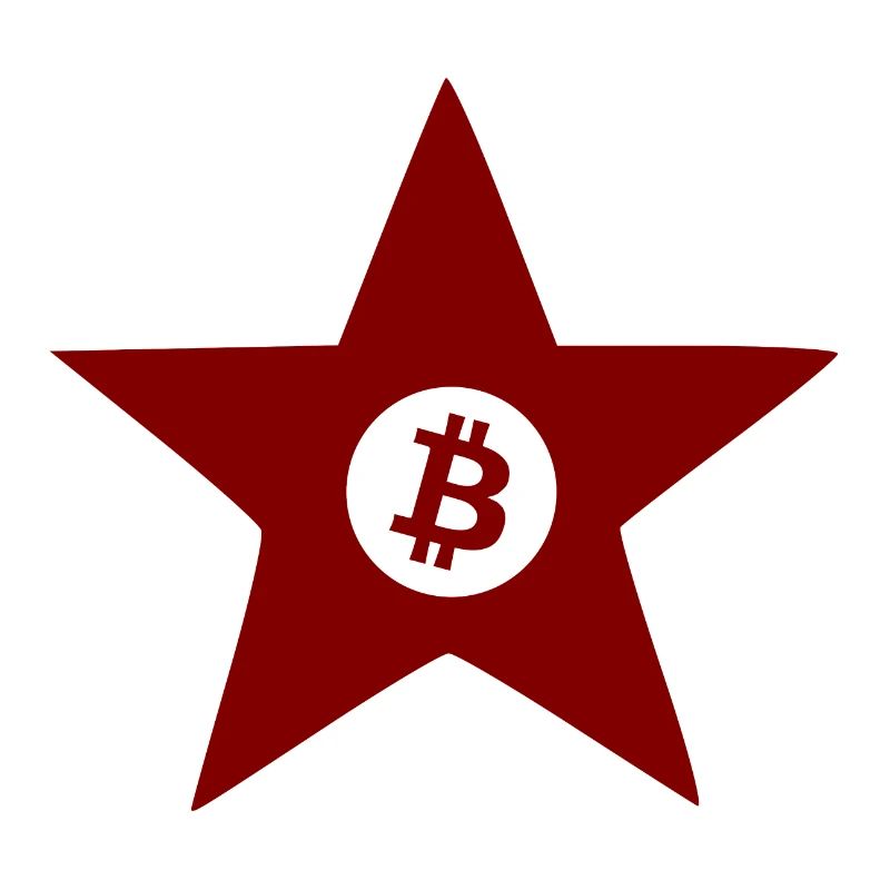 Die Krypto Revolution Bitcoin