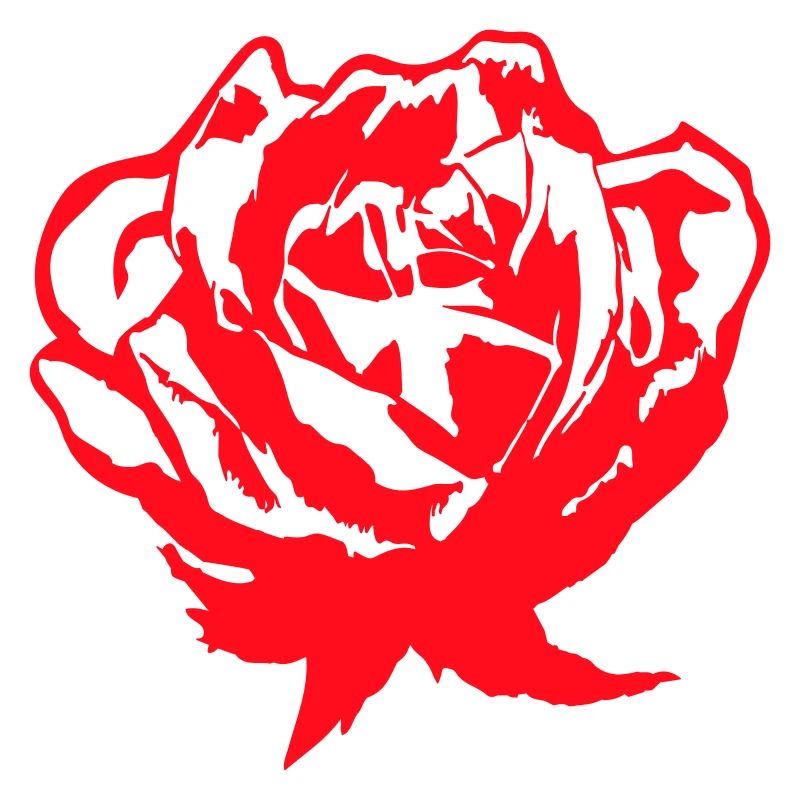 Hübsche Schöne Rose Blüte Blatt Röschen Romantisch
