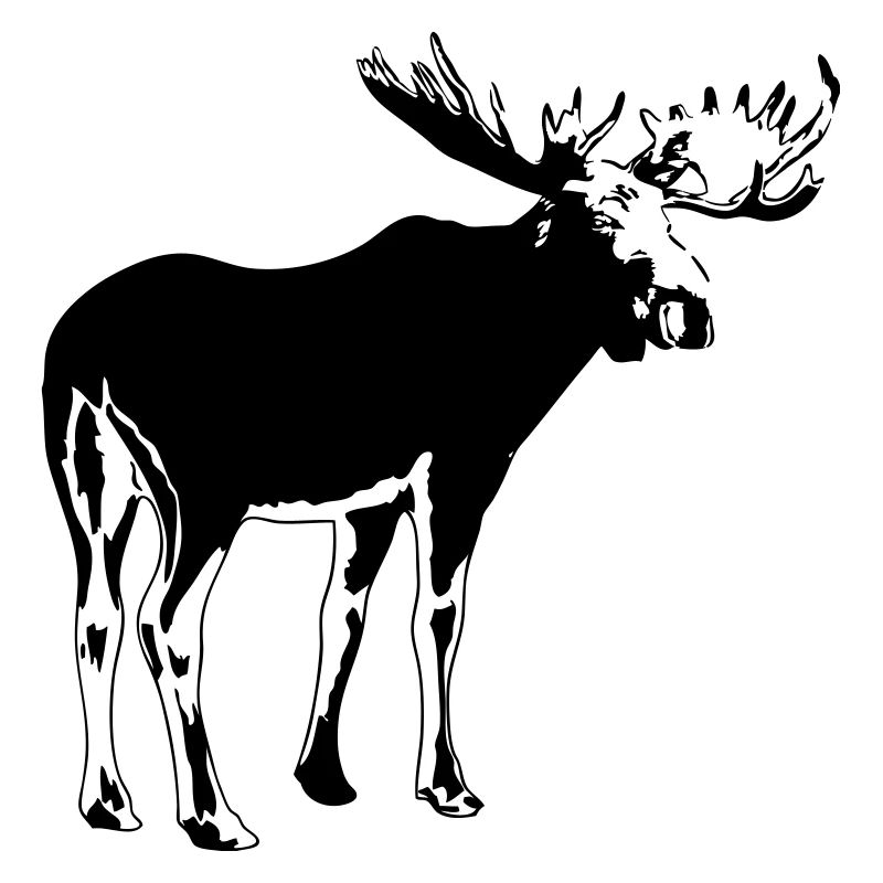 elch - elk - moose - jagd - jäger