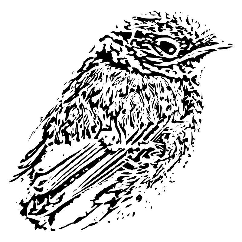 Oiseau