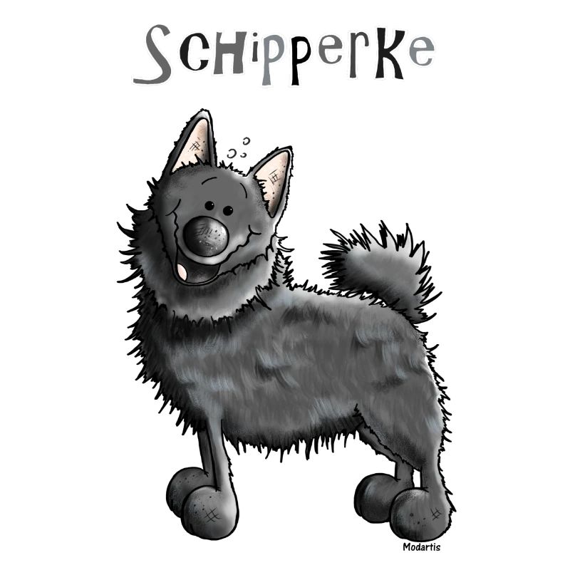 Funny Schipperke - Dog - Spitzke