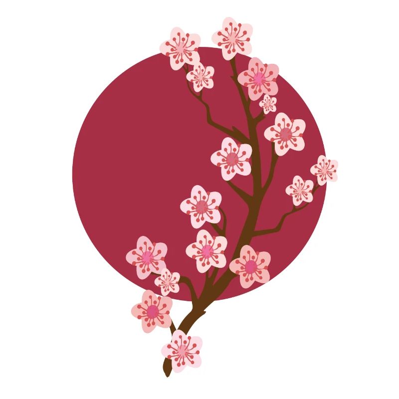 Sakura Fleur de cerisier